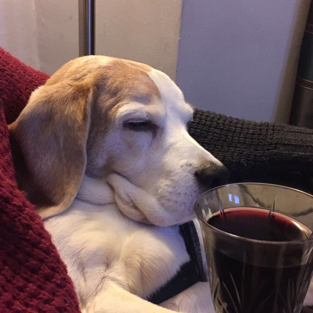 Meet your Posher, Cristina